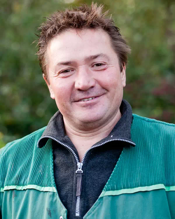 G. Hellebrandt